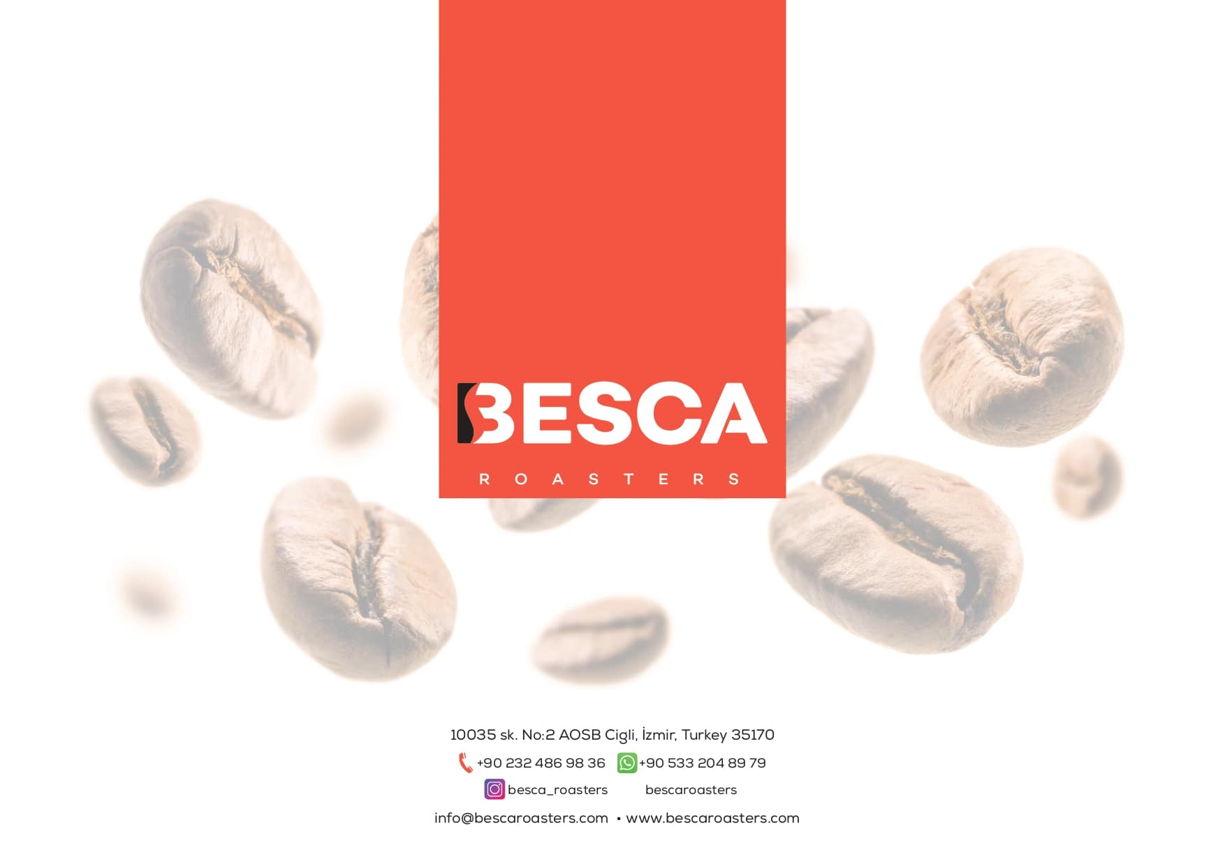 Besca Catalog Page 36